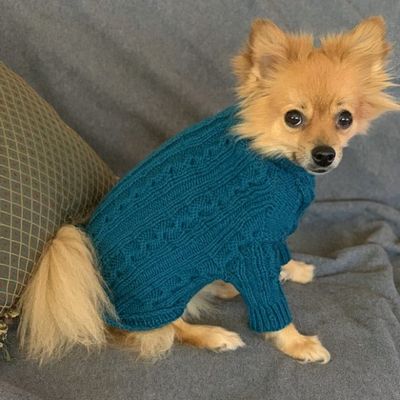 Cabled Crochet Dog Sweater Free Pattern