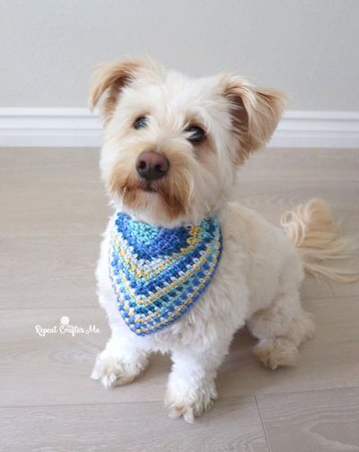 Crochet Dog Bandana Free Pattern