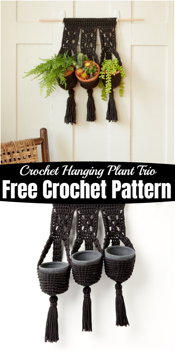 Trio Crochet Plant Hanger