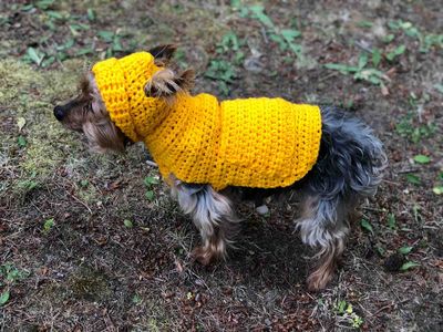 Jack’s Small Crochet Dog Hoodie Sweater Free Pattern