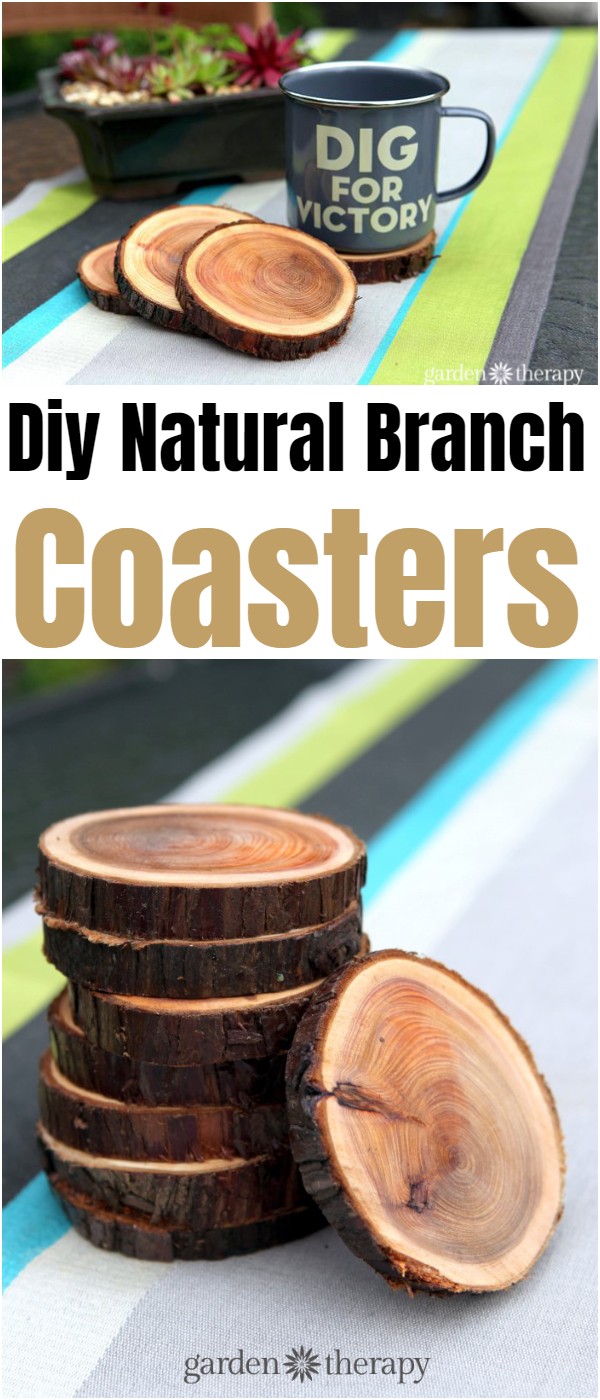 Diy Natural Branch Coasters