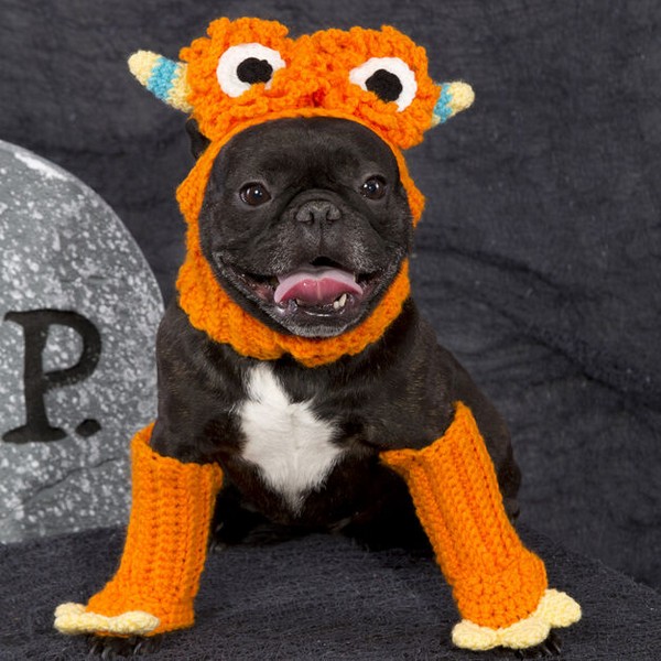 Dog Costume With Crochet Monster Free Pattern