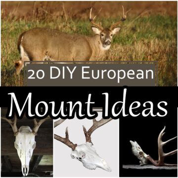 20 DIY European Mount Ideas