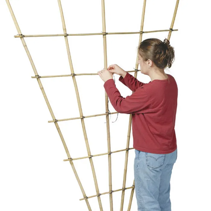 Build V Style Bamboo Trellis