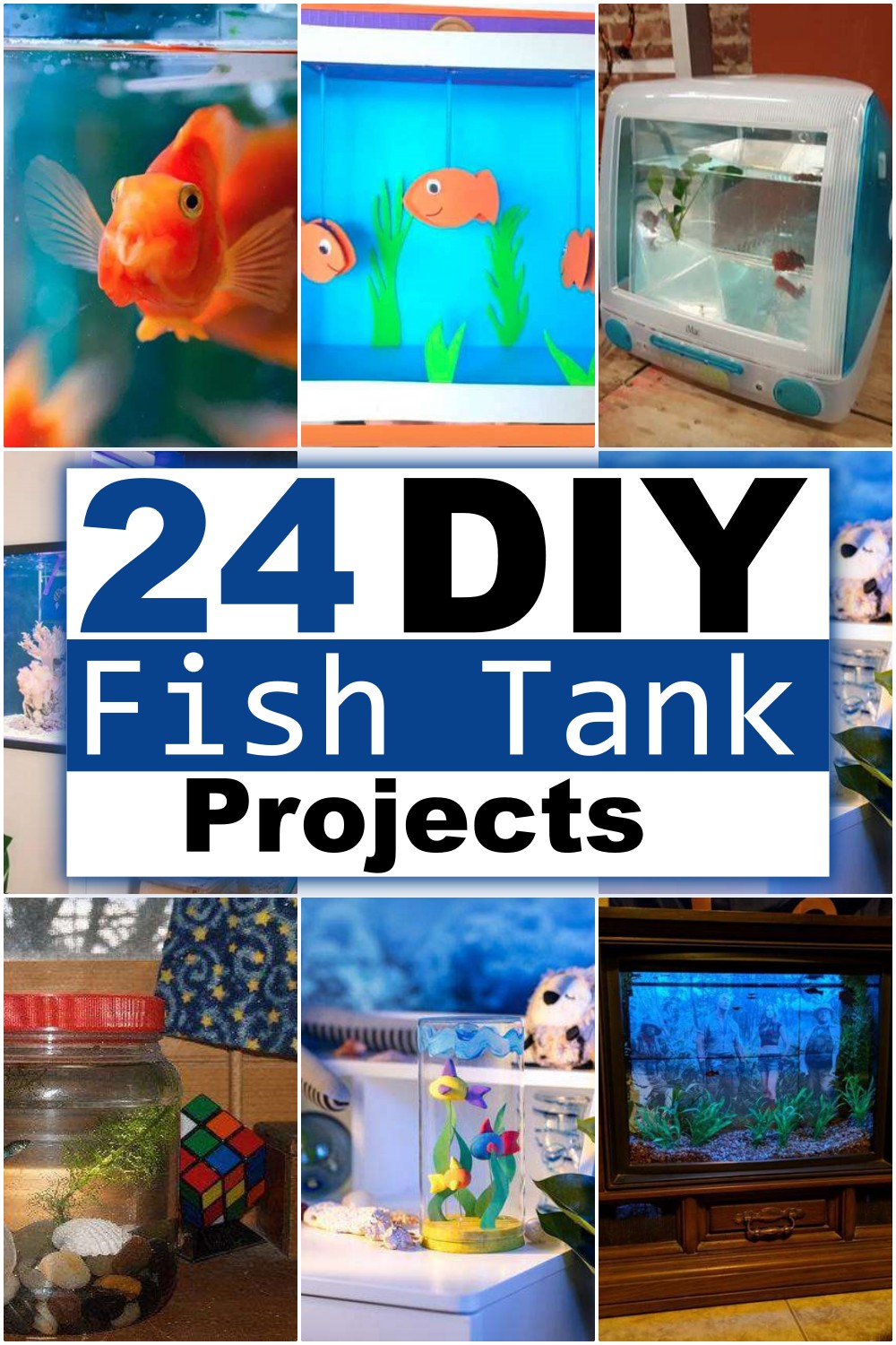 DIY Fish Tank Projects
