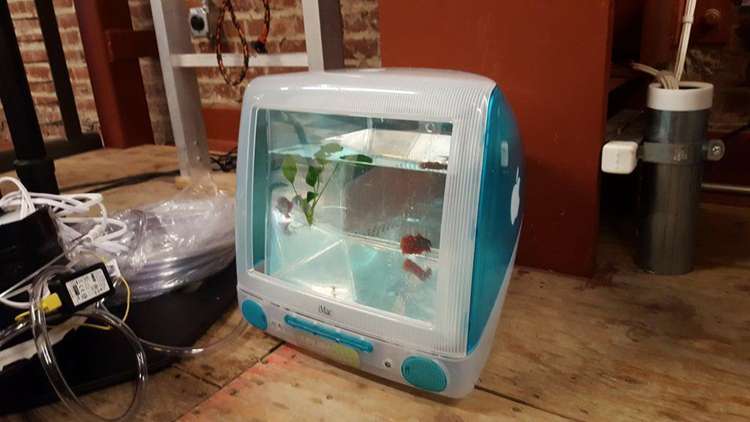 DIY iMac Fish Tank