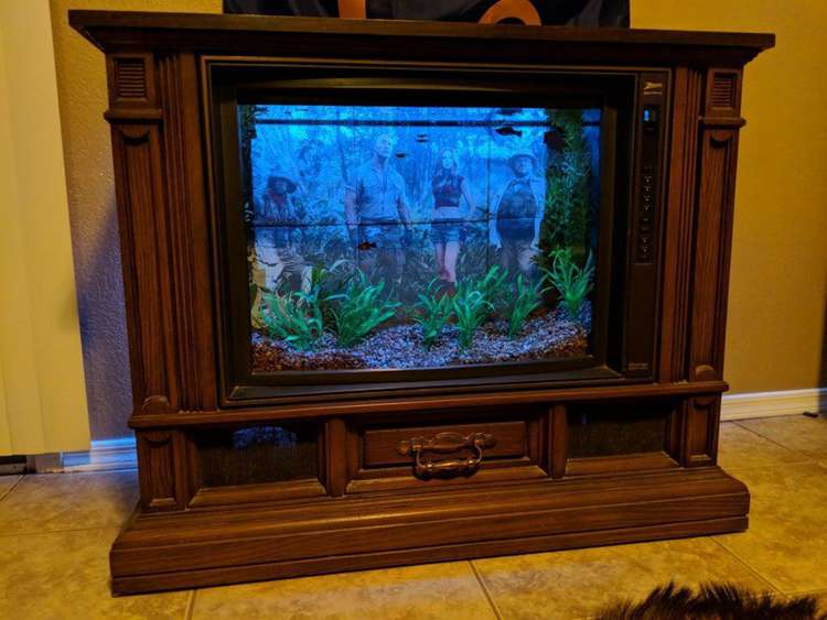 How To Build A TV Fish Tank
