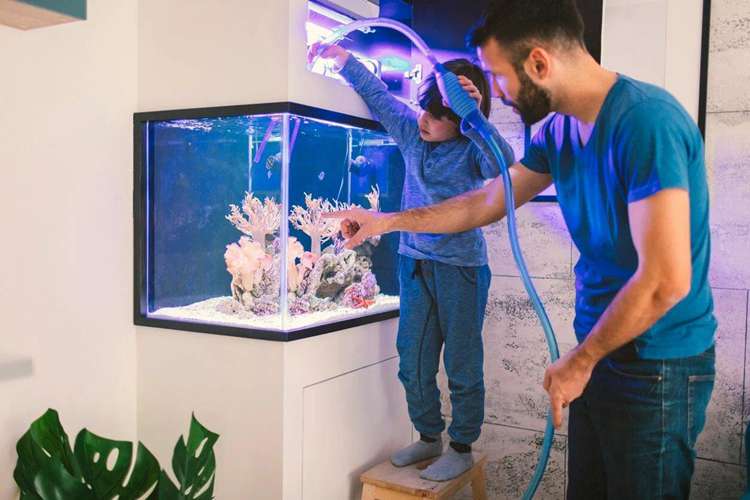 How To Build An Aquarium At Home