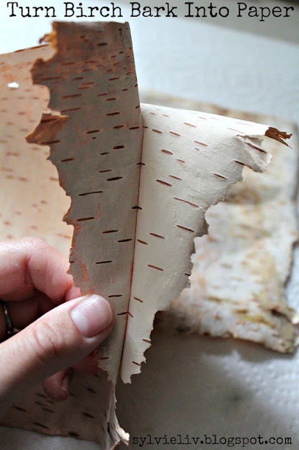 Turn Birch Bark Into Paper