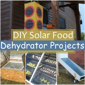 17 DIY Solar Food Dehydrator Projects