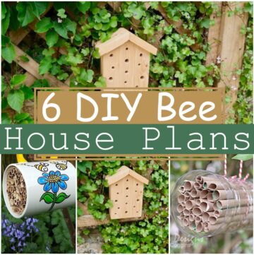 6 DIY Bee House Plans