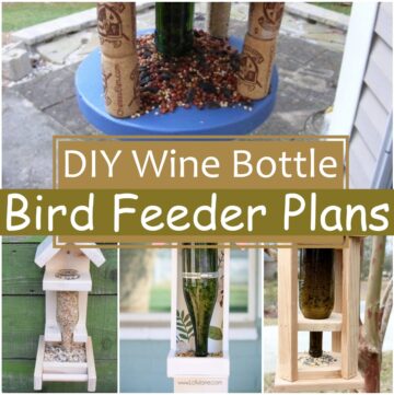 8 DIY Wine Bottle Bird Feeder Plans