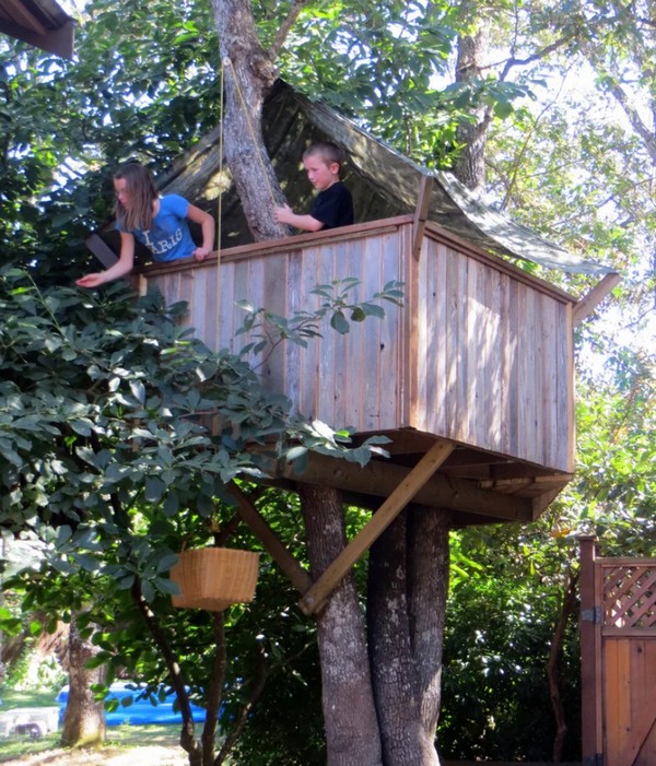 Build A Two Tree House Plan