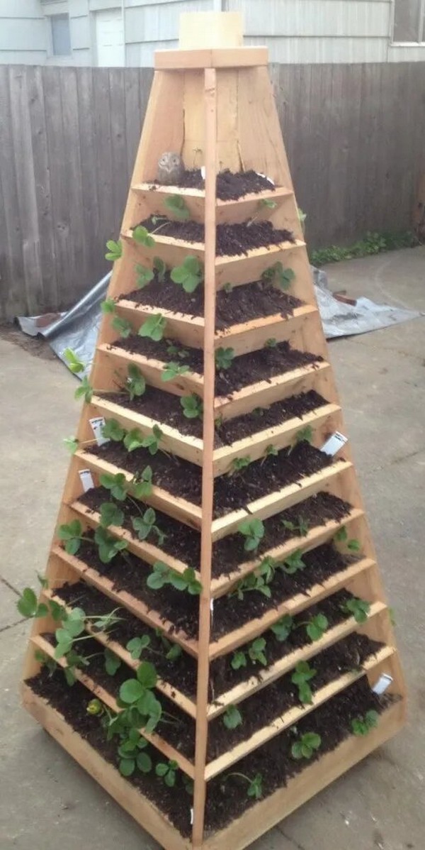 Build A Vertical pyramid planter Plan