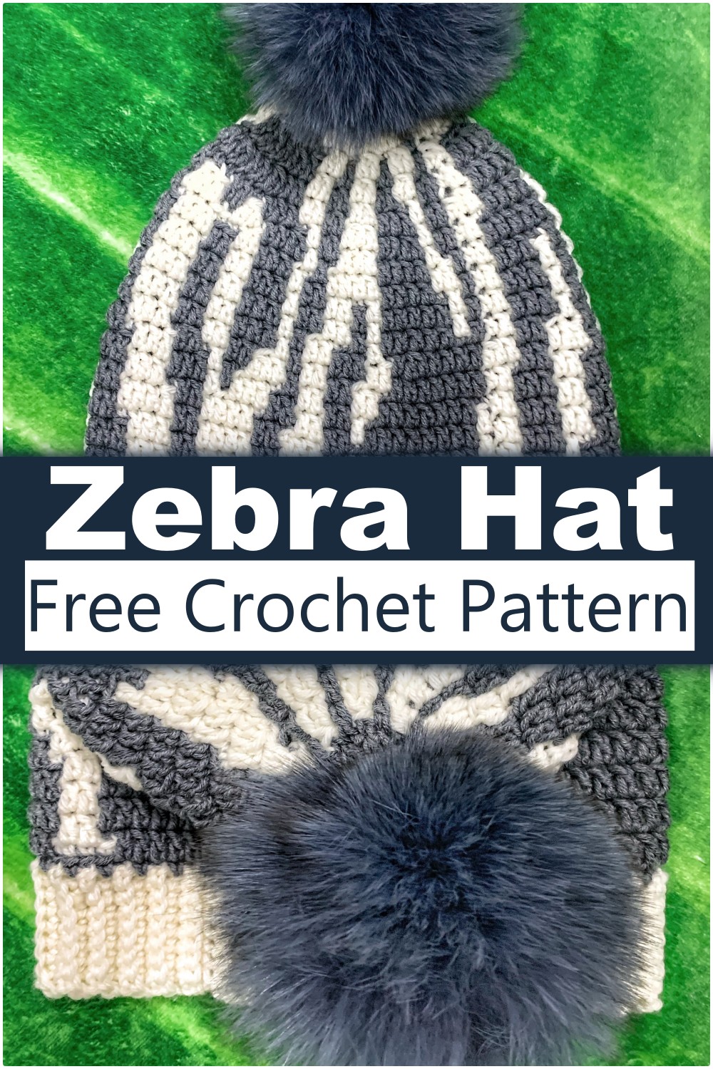 Crochet Zebra Hat Free Pattern