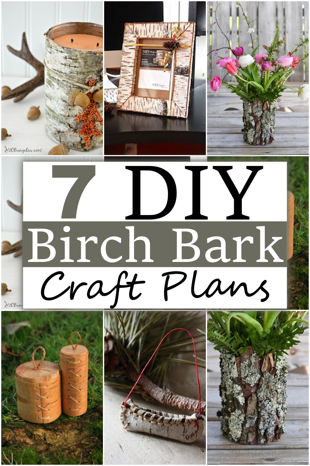 DIY Birch Bark Craft Plans