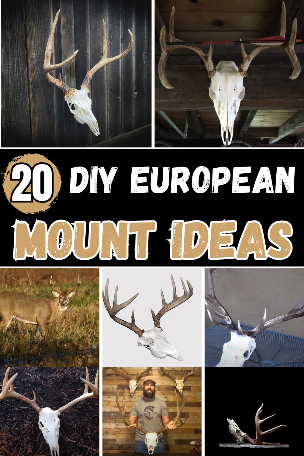 DIY European Mount Ideas