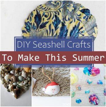 DIY Seashell Crafts To Make This Summer