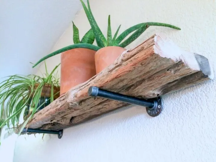 Make A DIY Live Edge Driftwood Shelf Under $20