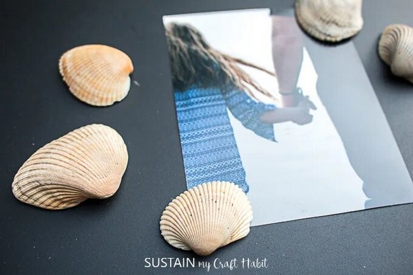 Make A Magnet With Seashells Crafts