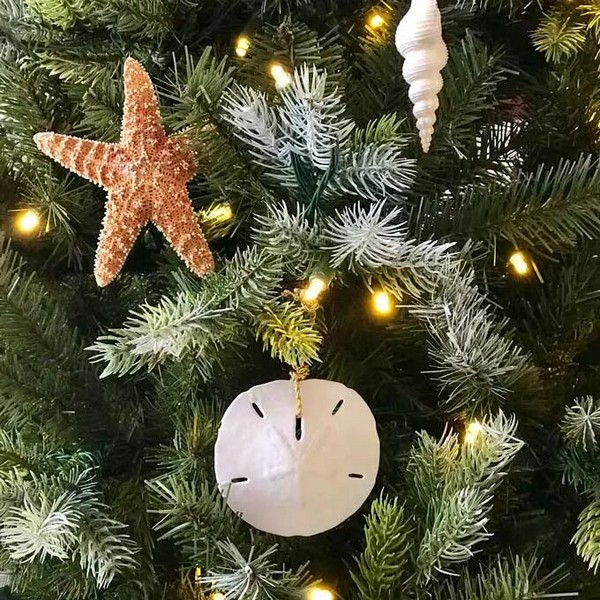 Make Seashell Christmas Ornaments