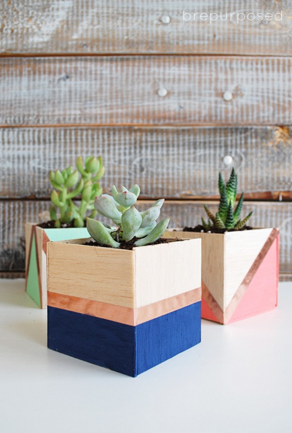 Balsa Wood Planters To Do It Yourself