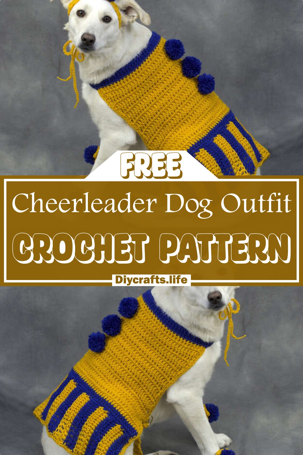 Crochet Cheerleader Dog Outfit Pattern