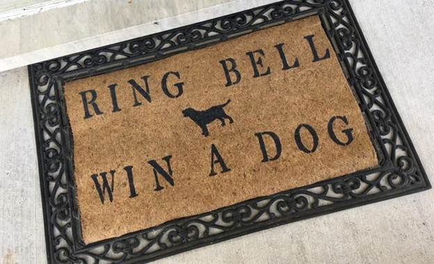 DIY Doormat For Pet Lovers