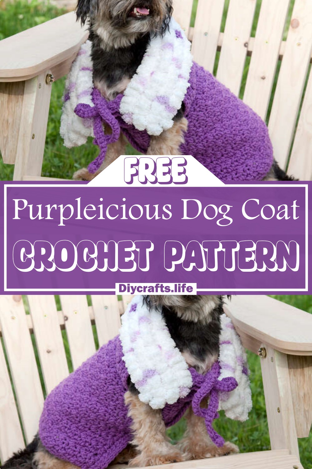Free Crochet Purpleicious Dog Coat Pattern