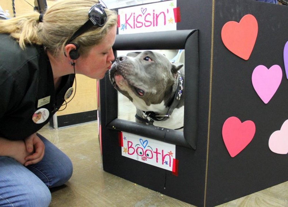 DIY Kissing Booth For Dogs