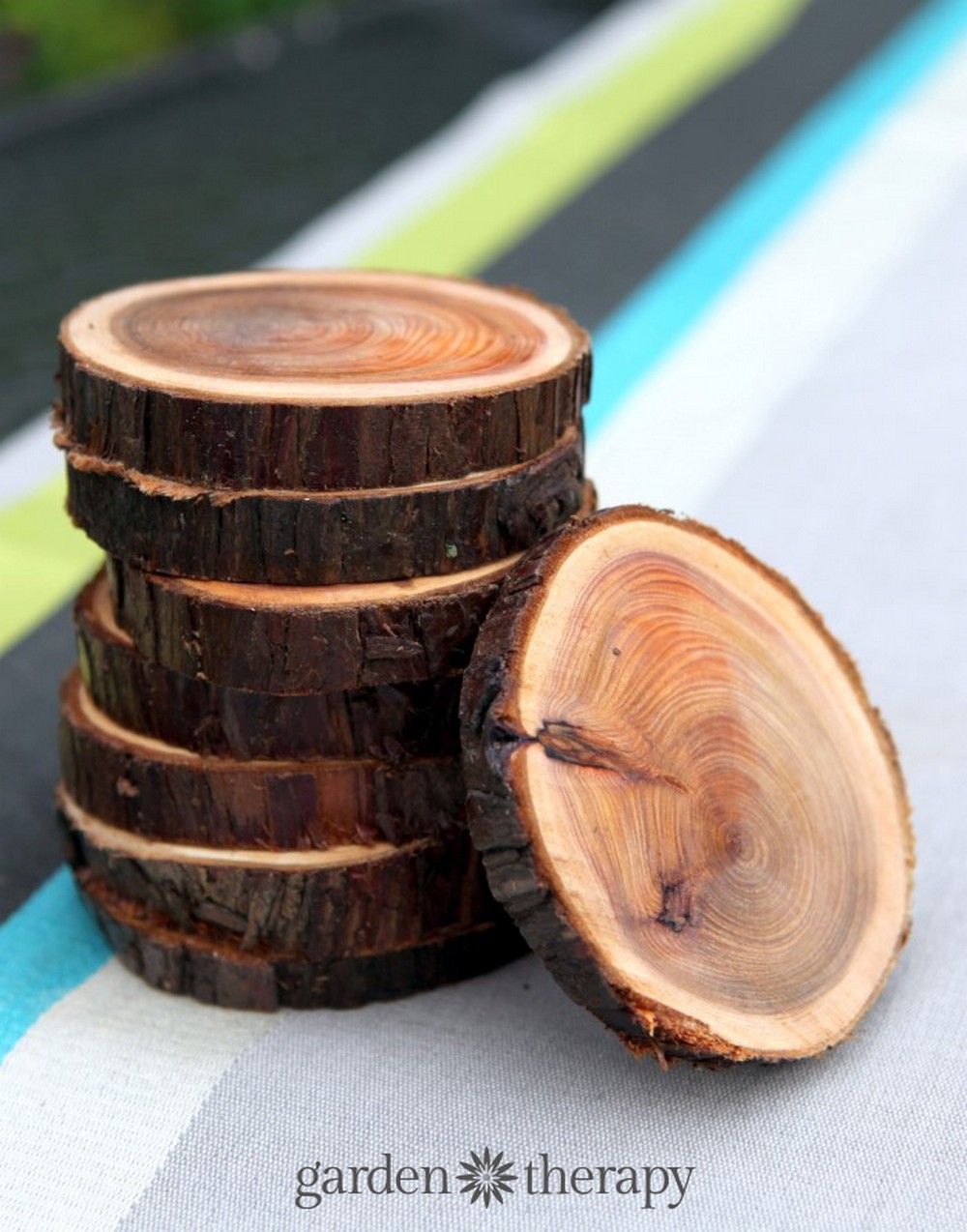 DIY Wood Log Coasters