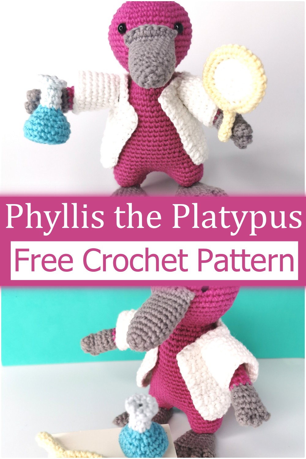 Crochet A Amigurumi In Platypus Design