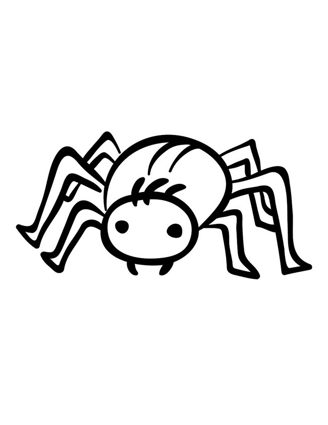 Easy Spider Drawing- Step By Step Printable
