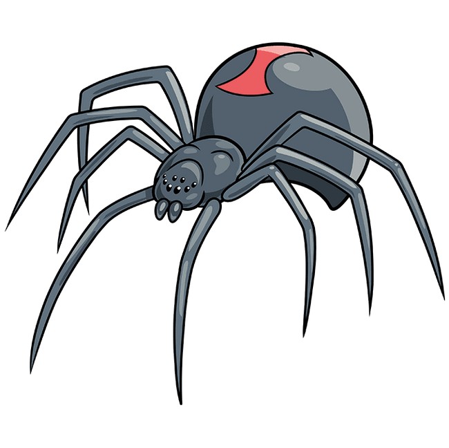 How To Draw A Black Widow Spider