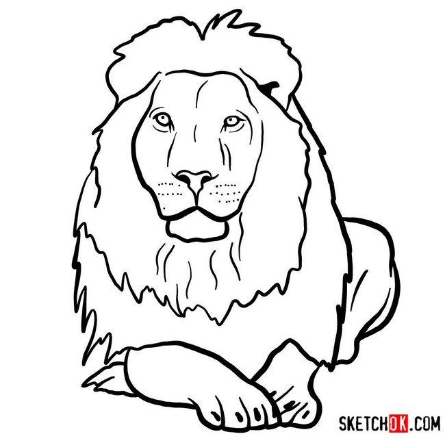  How To Draw A Lion’s Head