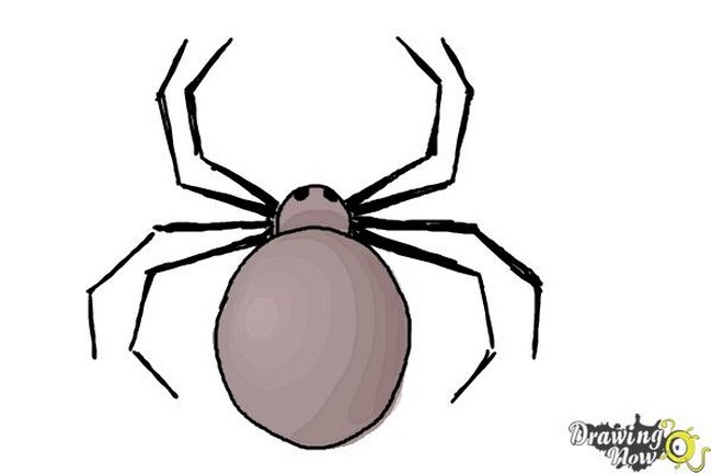 How To Draw A Simple Spider