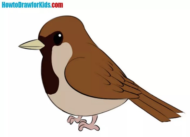 How To Draw A Sparrow For Kids