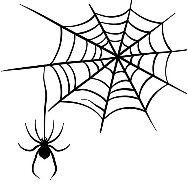 26 Spider Drawing Ideas - How To Draw Spider - DIY Crafts