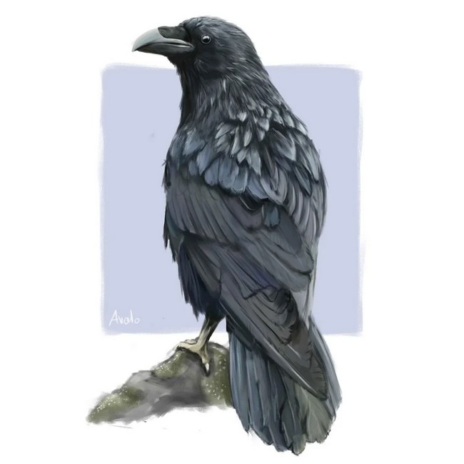 I Painted A Raven