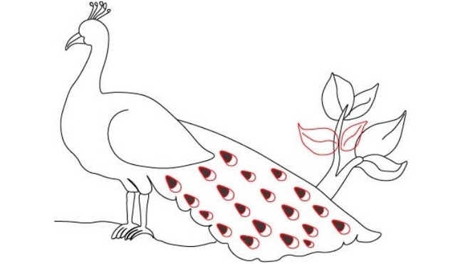 Peacock Coloring Page | Easy Drawing Guides-saigonsouth.com.vn