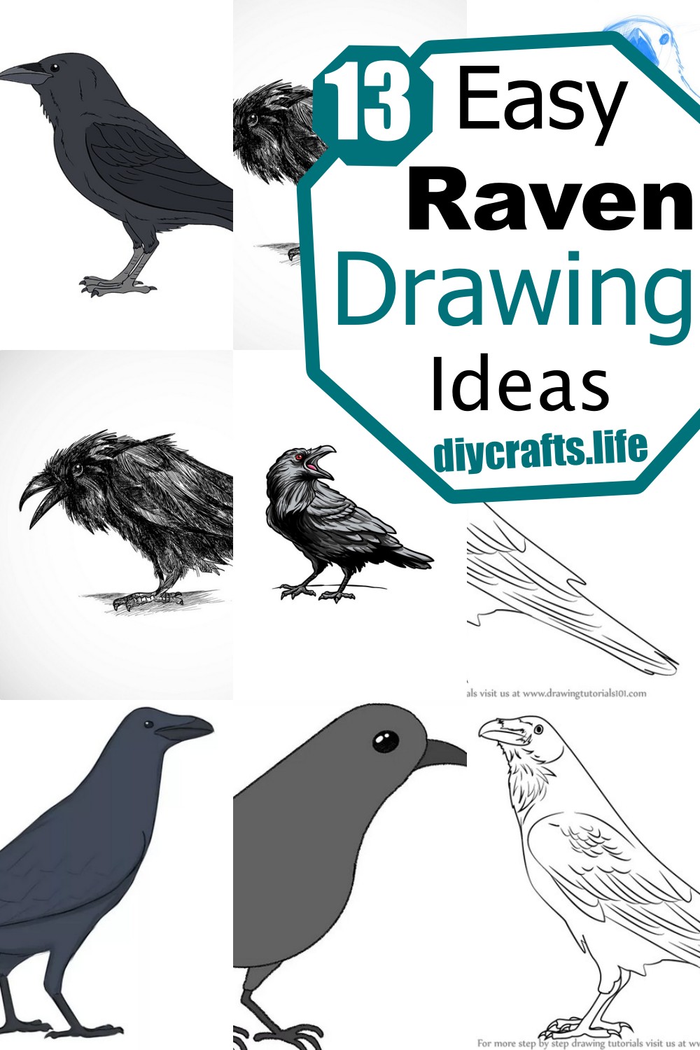 13 Raven Drawing Ideas