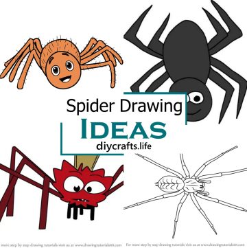 Spider Drawing Ideas 1
