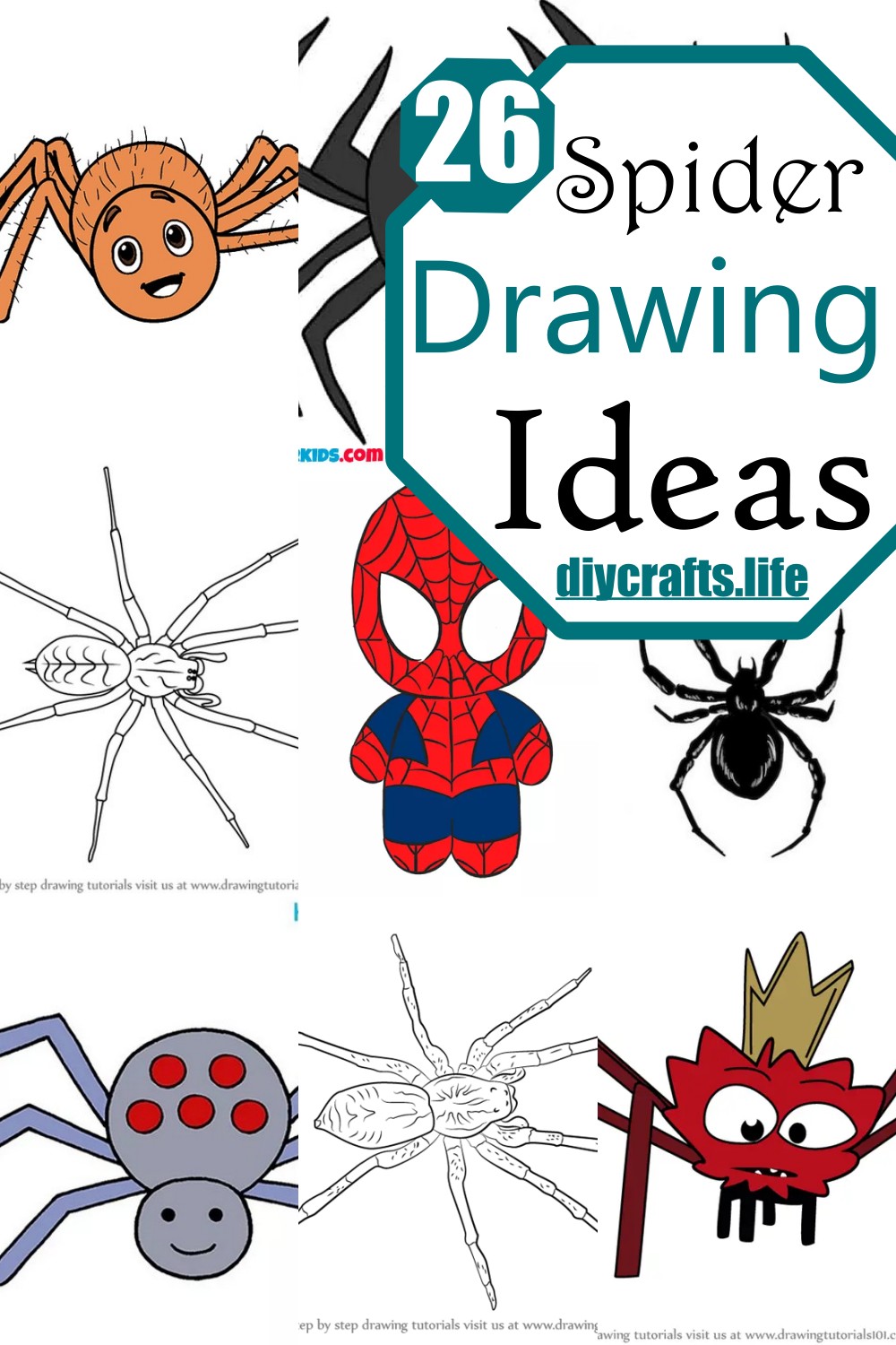 Spider Drawing Ideas