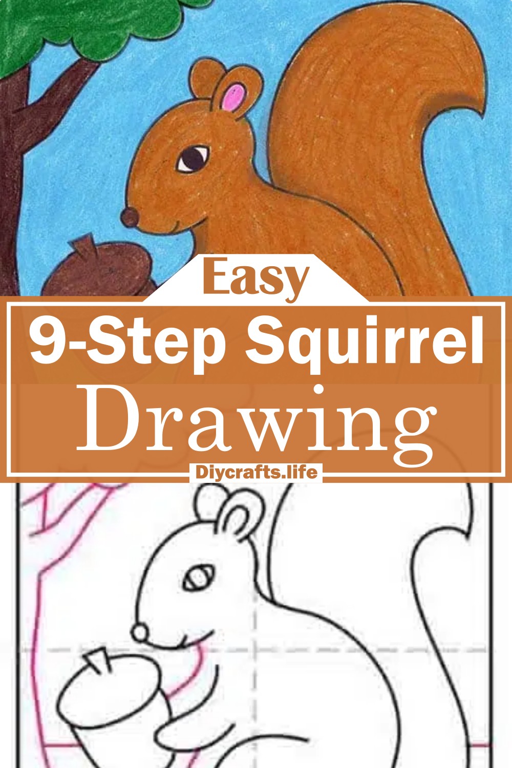9-Step Squirrel Drawing