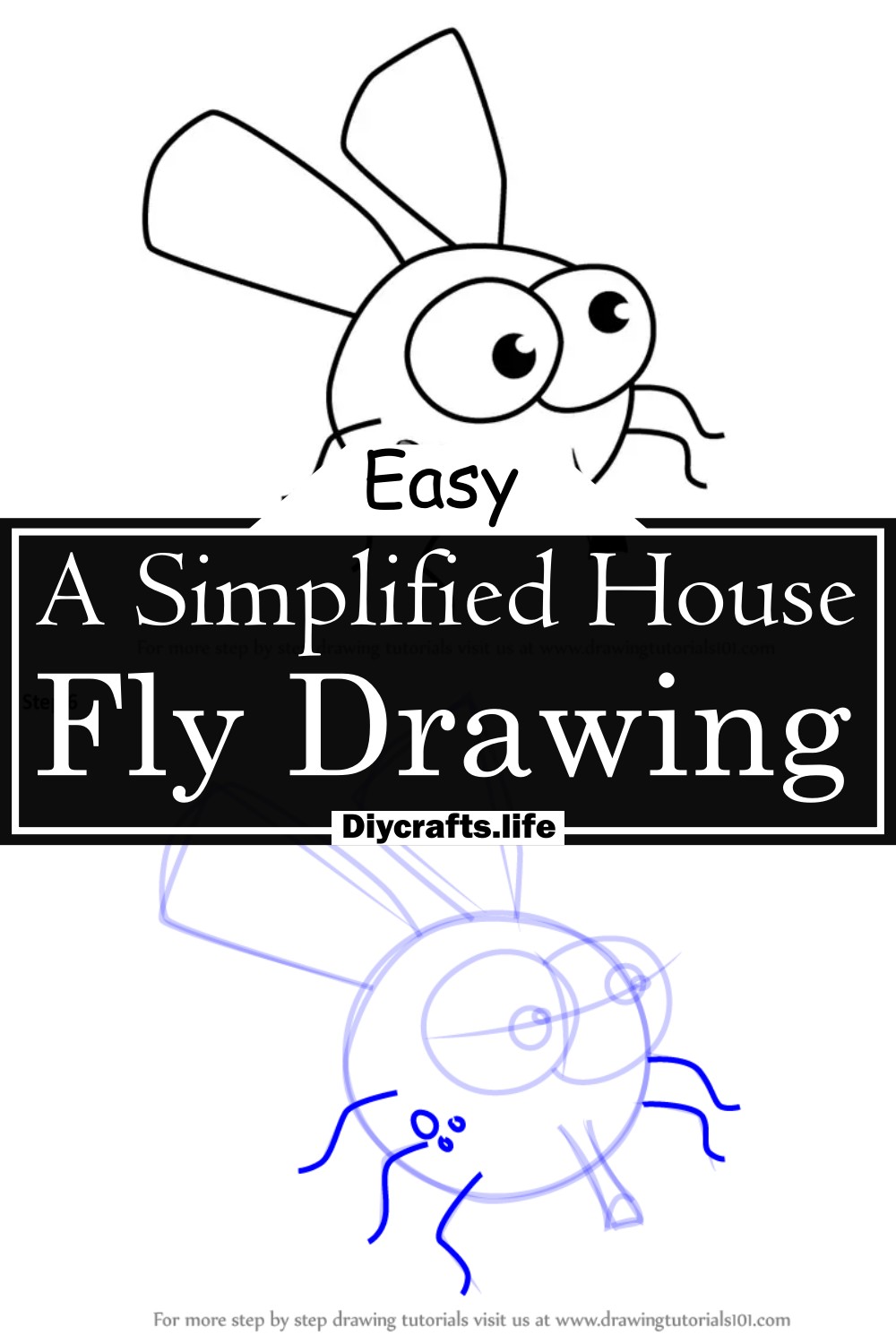 A Simplified House Fly Drawing