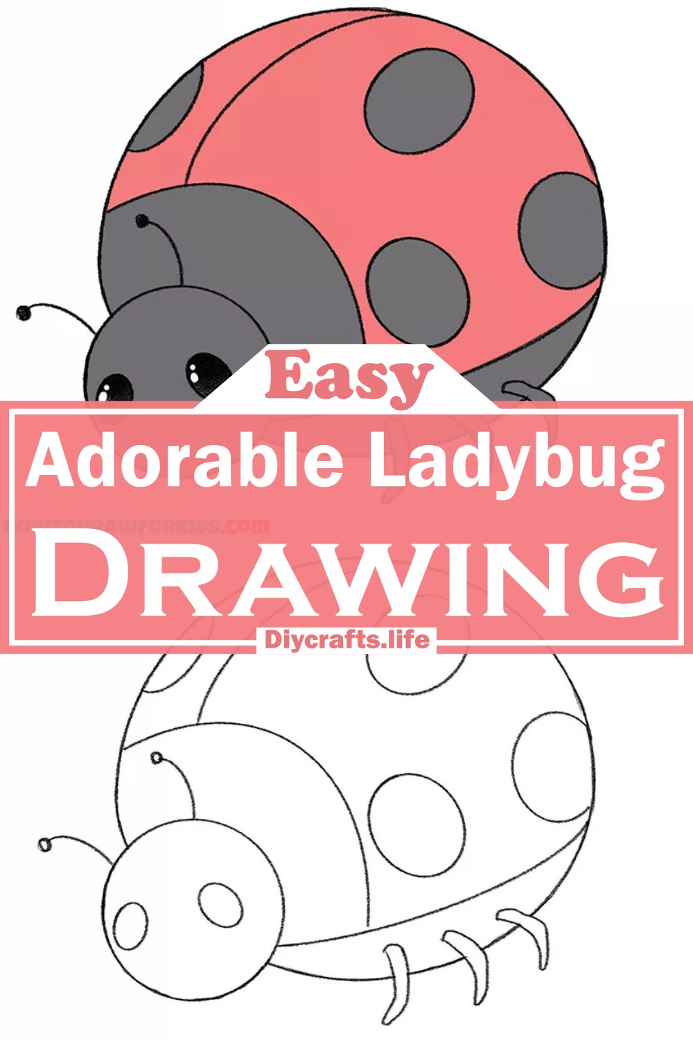 Adorable Ladybug Drawing