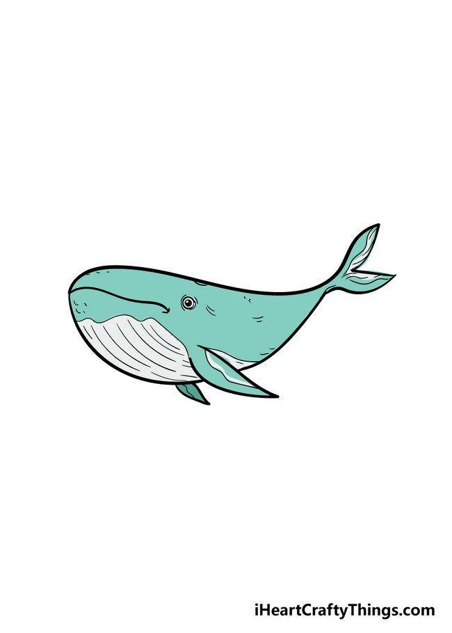 Adult Whale Drawing