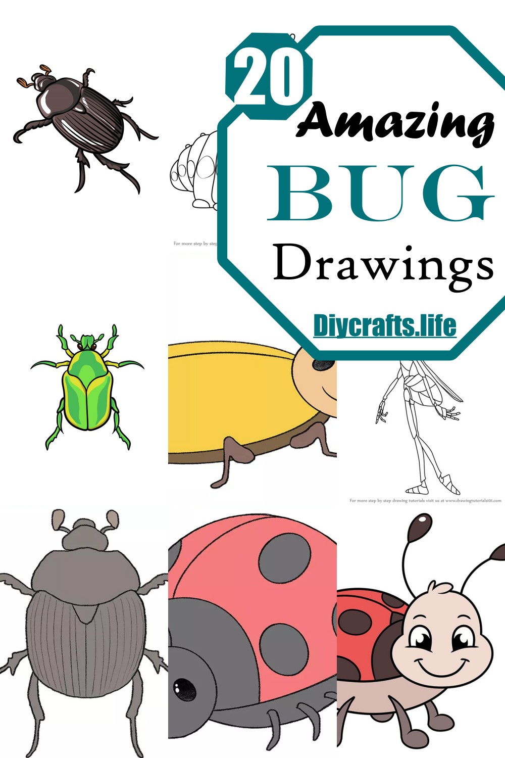 Amazing Bug Drawings 1