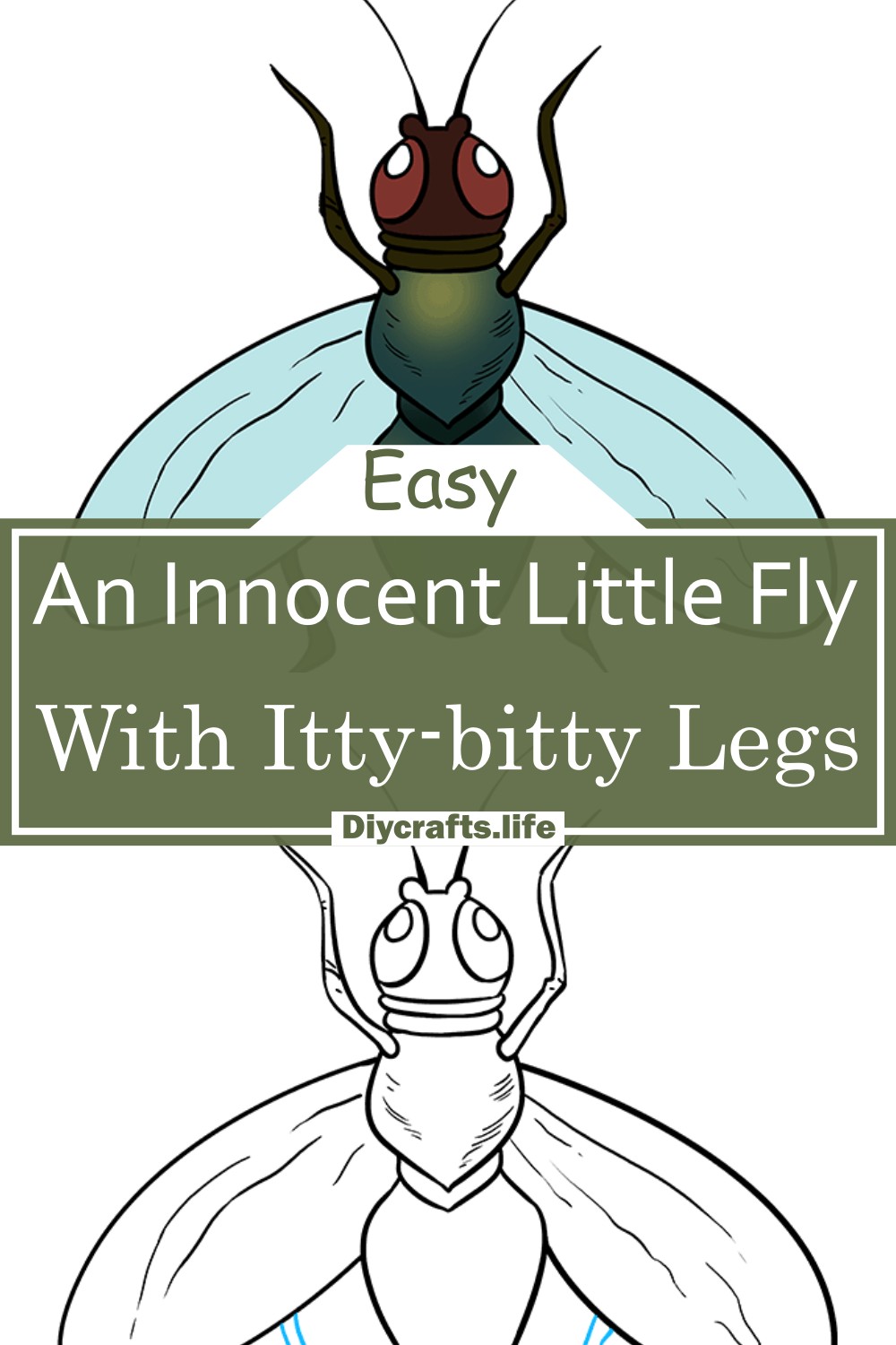 An Innocent Little Fly With Itty-bitty Legs