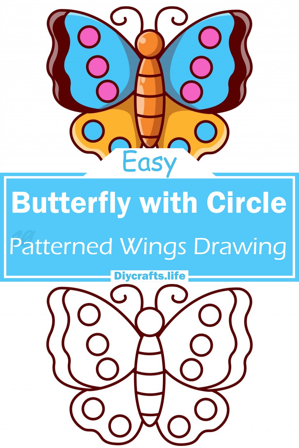 Butterfly with Circle-Patterned Wings Drawing